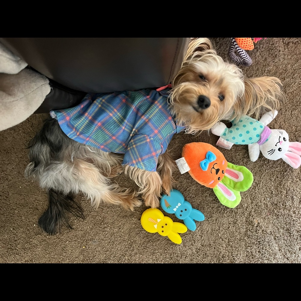 Now accepting $10 offers on anything in my closet!